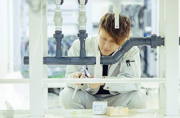 有限会社 エムエスイー MSE